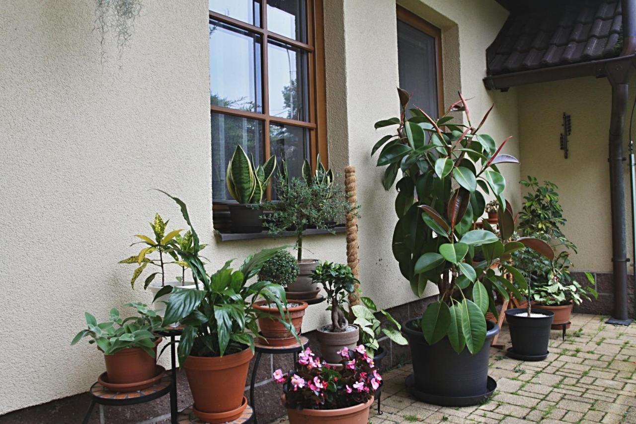 Ubytovani Zdarske Vrchy Světnov Exterior foto