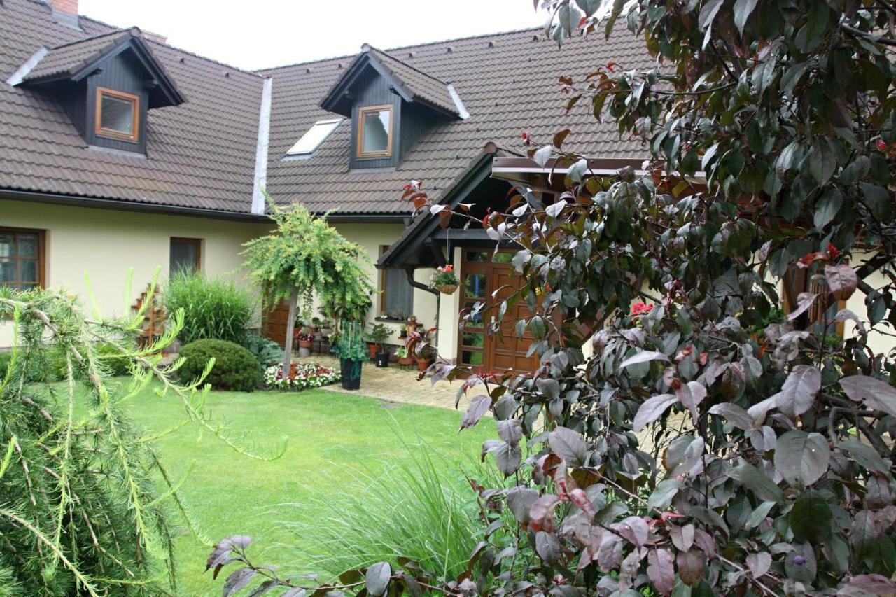 Ubytovani Zdarske Vrchy Světnov Exterior foto